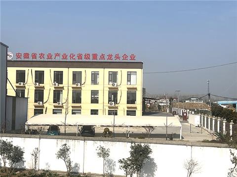 公司环境